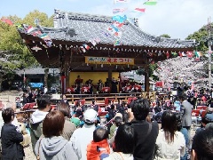 写真１