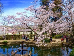 写真１