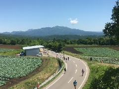 写真１