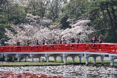 写真１