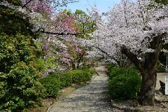 写真１