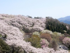 写真１
