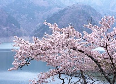写真１