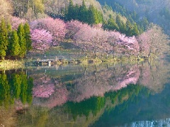写真１
