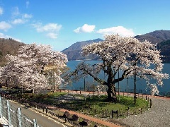 写真１