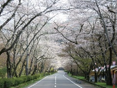 写真１