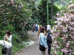 写真１