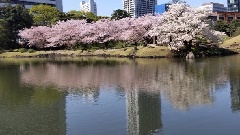 写真１