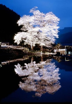 写真１