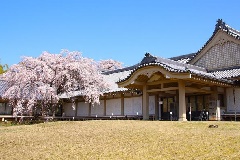 写真１