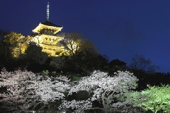 イベント画像