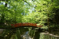 写真１