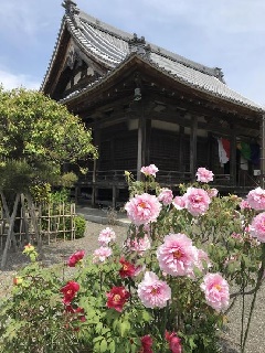 写真１