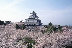 イベント画像