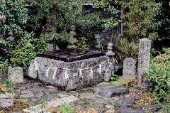 写真１