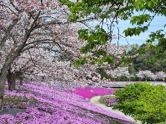 写真１
