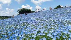 写真１