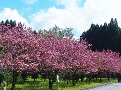 写真１