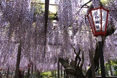 写真１