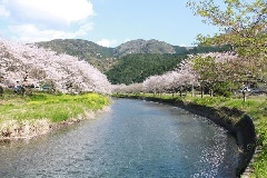 写真１