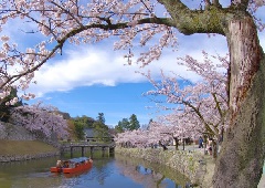 写真１