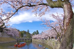 イベント画像