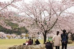 写真１