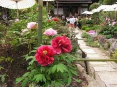 写真１