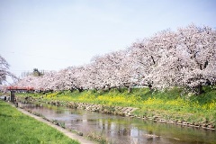 写真１