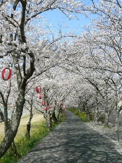 写真１