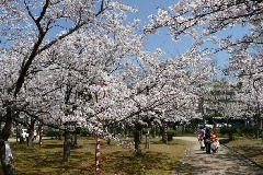 イベント画像