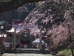 写真１