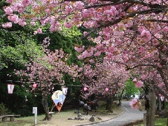 写真１