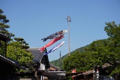 写真１