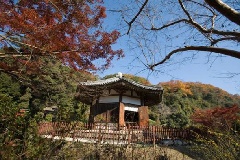 写真１