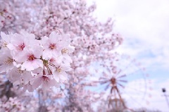 写真１