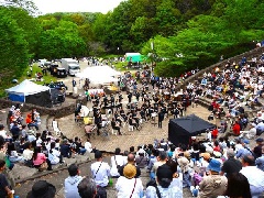 写真１