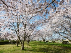 写真１