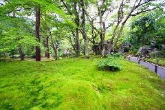 写真１
