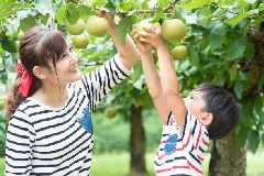 写真１
