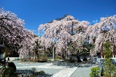 写真１