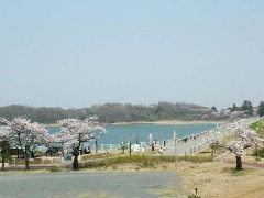 写真１