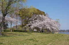 写真１