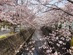 写真１