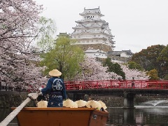 写真１