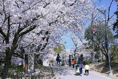 写真１