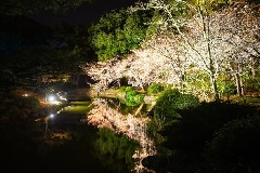 イベント画像