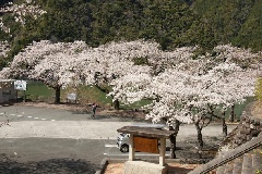 写真１
