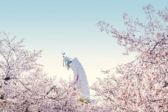イベント画像