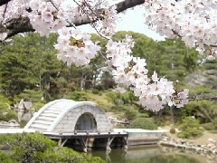 写真１